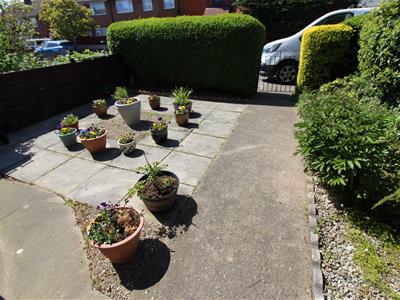 Picture 12